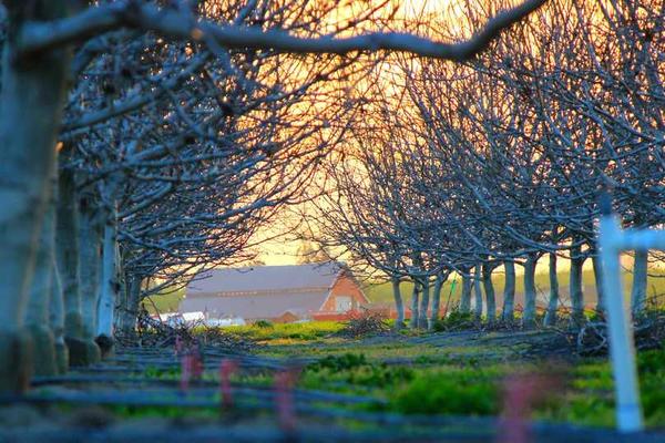 新就业形态劳动者权益保障政策出台，新就业形态劳动者权益保障政策出台