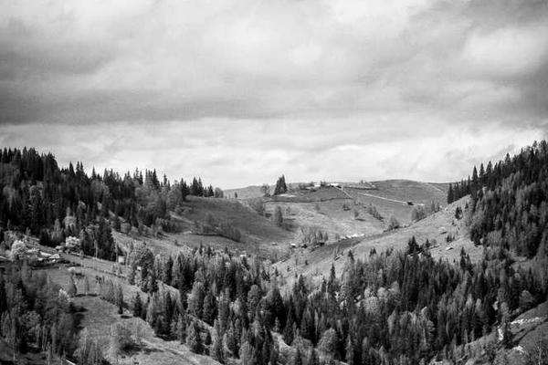 义务教育"双减"政策实施一周年