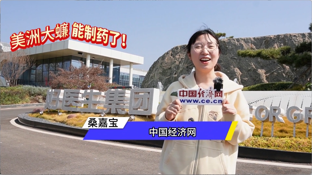 美洲大蠊能制药了！从一只小虫到一瓶良药